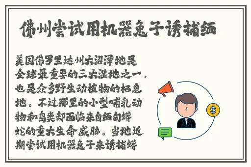 黑料不打烊**长征篇最新